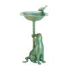 Cat Bird Bath